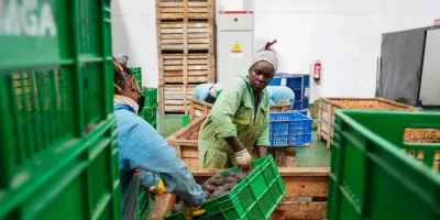 Kenyan, African exporters benefit from China’s zero-tariff policy