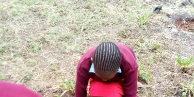 Kenyan school fruit-tree initiative named global awards finalist
