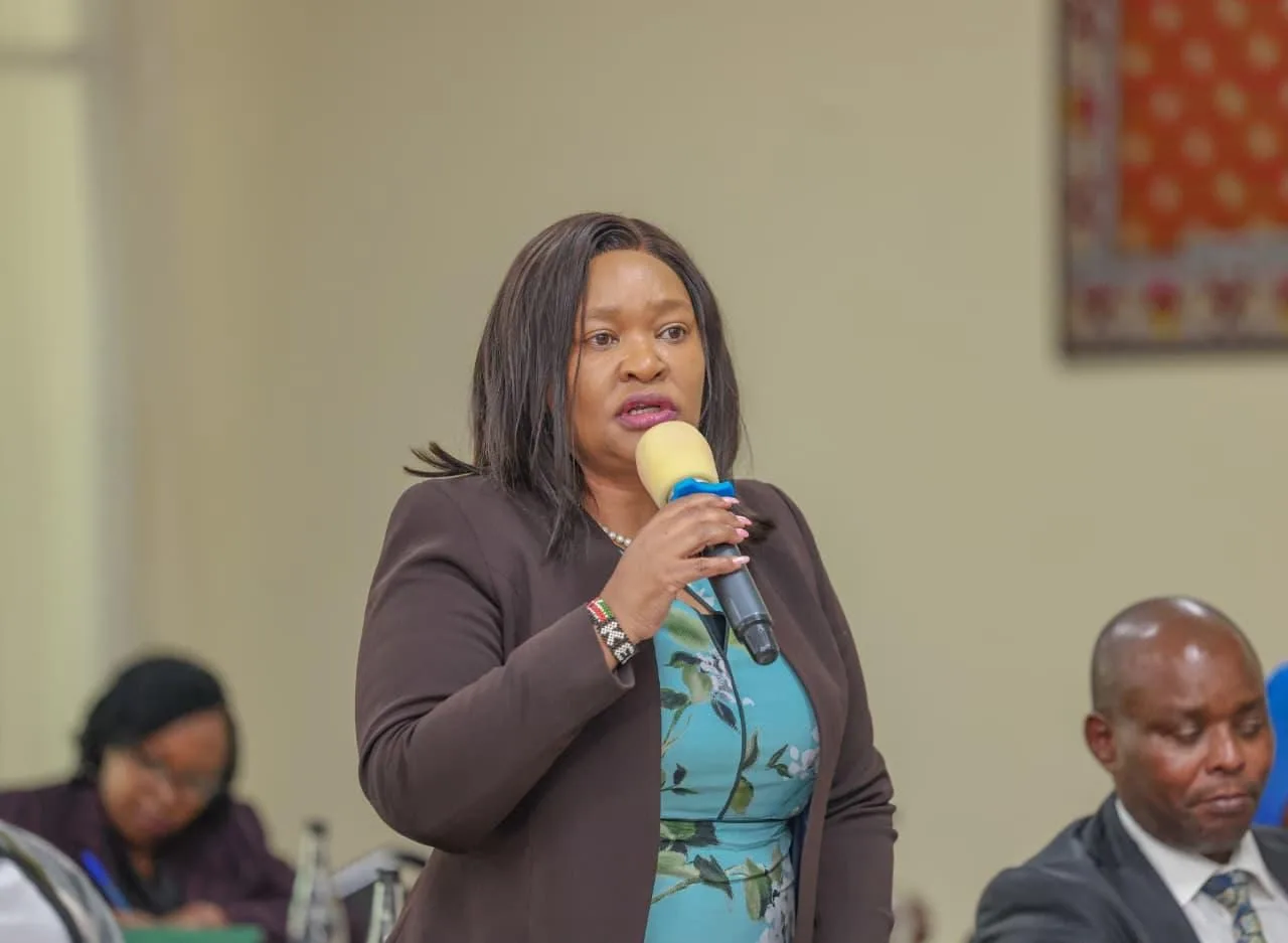 Ministry proposes separation of tourism levy collection and funds management