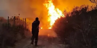 Algeria president seeks death penalty for arsonists after deadly forest fires