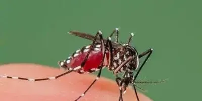MOH steps up dengue response in Garissa, Wajir as cases hit 1,678