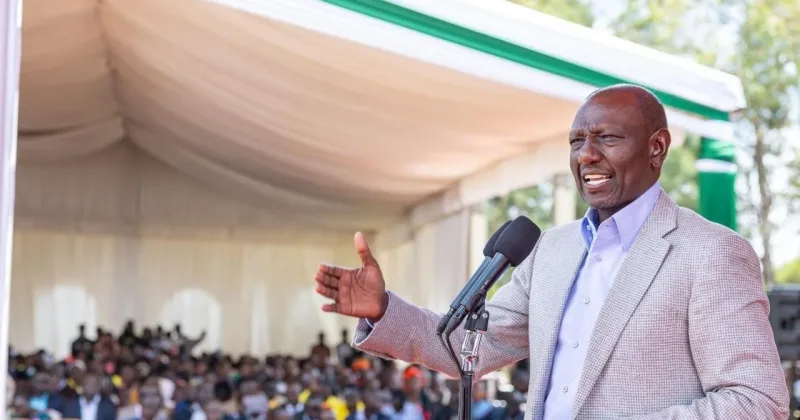 Ruto Pledges Cheaper Fertilizer, Seeds to Boost Food Production After Failed Rains