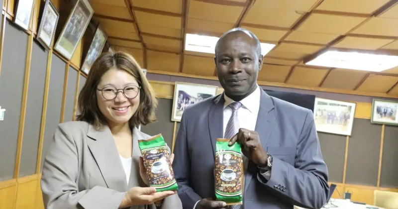 KALRO to pilot digital tool tracking carbon emissions in Kenya’s coffee value chain