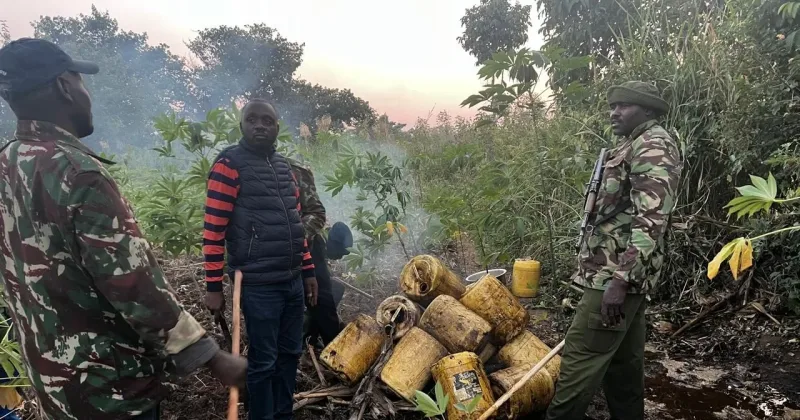 NACADA Seizes Over 27,000 Litres of Illicit Alcohol in Nairobi and Nyakach Raids