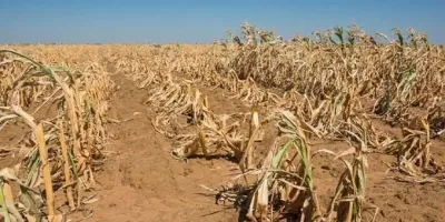 Dry August Ahead as Kenya Met Forecasts Warmer Than Normal Temperatures