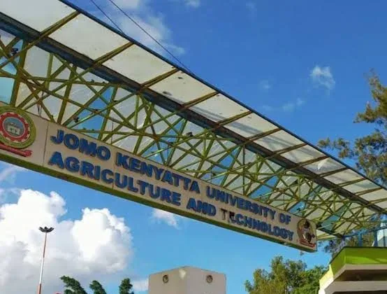 MPs Summon Former JKUAT Officials Over Kigali Campus Land and Sh80m Loan Scandal