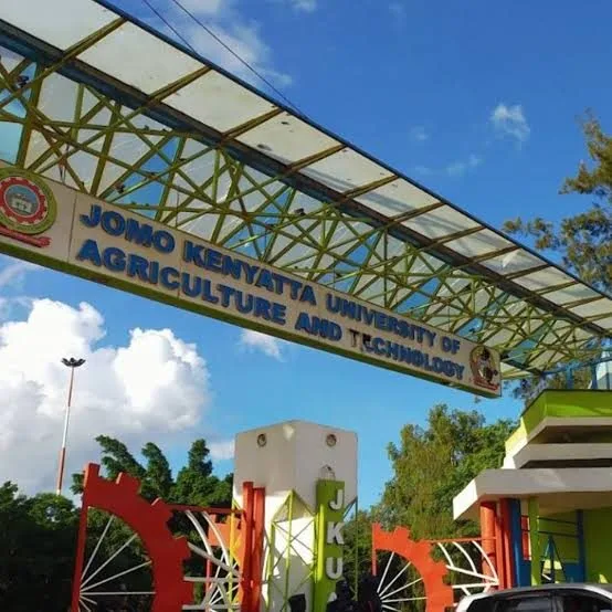 MPs Summon Former JKUAT Officials Over Kigali Campus Land and Sh80m Loan Scandal