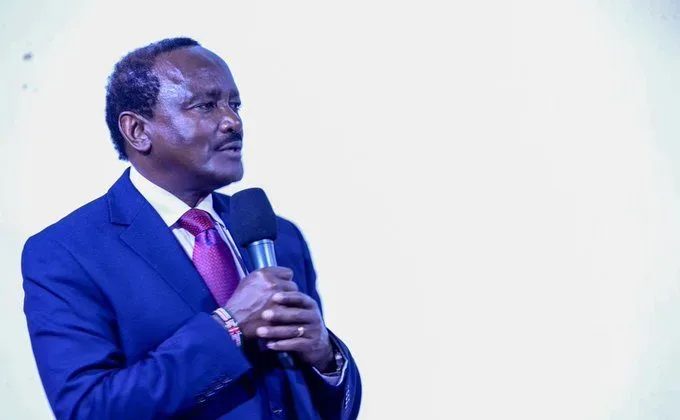Kalonzo Demands Full Implementation of Constitution as Kenya Marks 16 Years