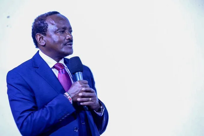 Kalonzo Demands Full Implementation of Constitution as Kenya Marks 16 Years