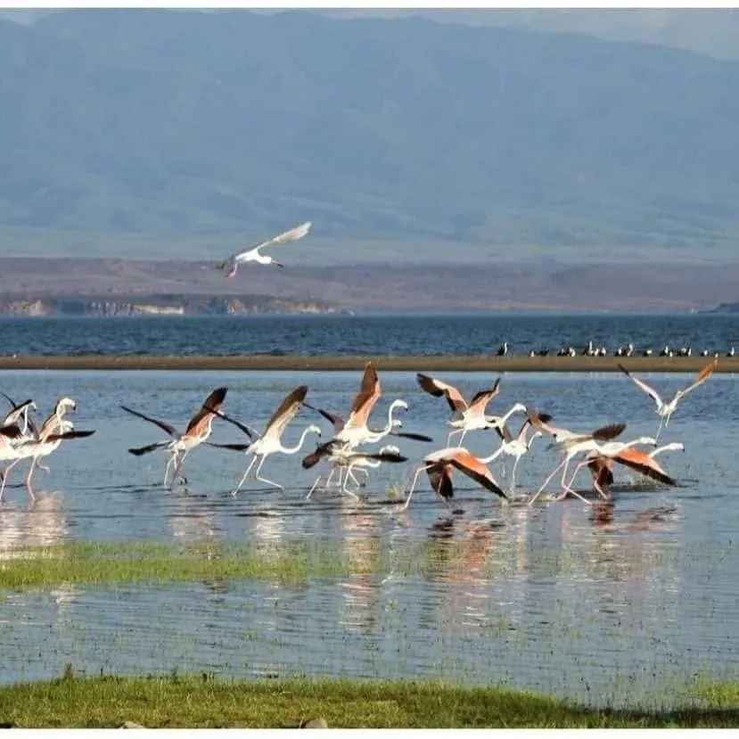KWS Partners with Archipelagos to Strengthen Management of Lake Turkana National Parks