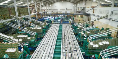 Unionisable Kakuzi Plc employees set to receive a 15% wage increase as union negotiations successfully close