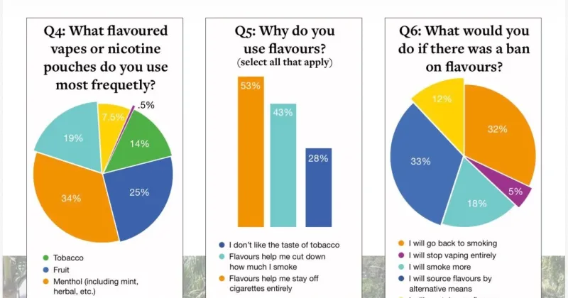 Nicotine flavour ban could drive smokers back to cigarettes, survey warns