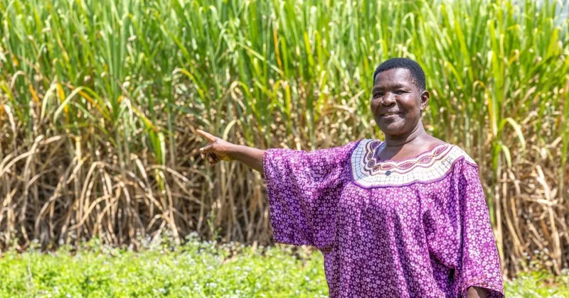 Women driving cane farming to boost household economies in Migori County 
