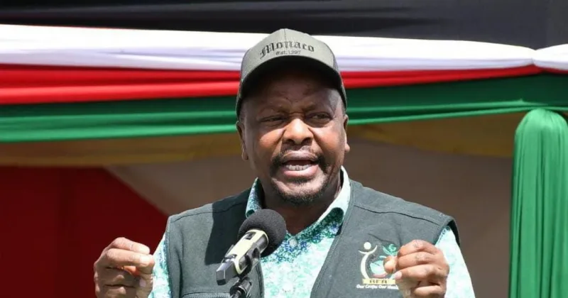 Govt orders 25 million bags of maize imports as harvests fall