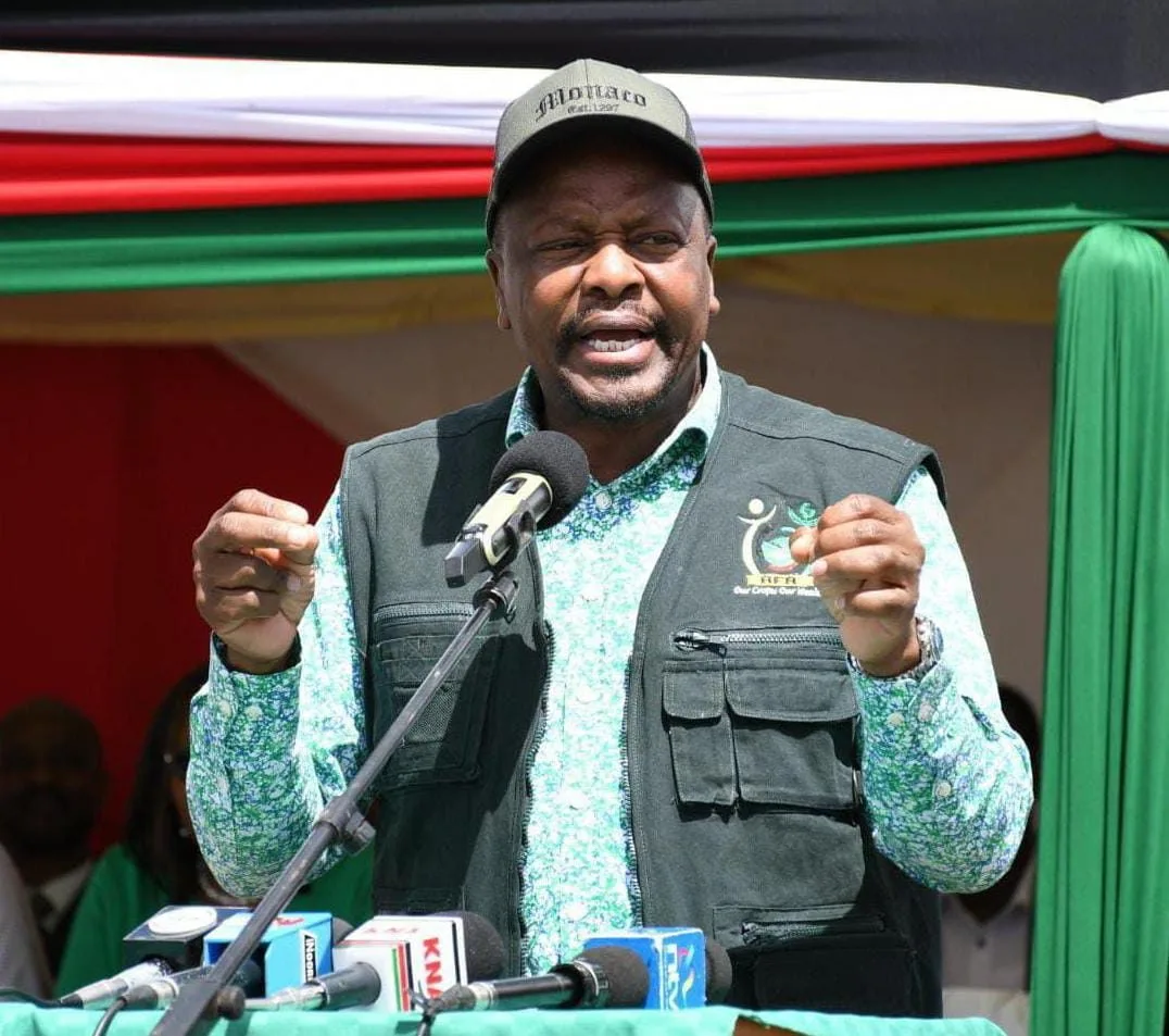 Govt orders 25 million bags of maize imports as harvests fall