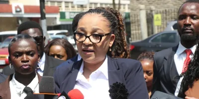 Lawyer wants MPs empowered to act against agencies that fail to enforce laws