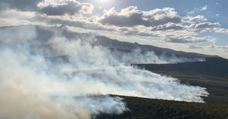 Aberdare Forest Fire Rages for Fourth Day, Hundreds of Acres Destroyed