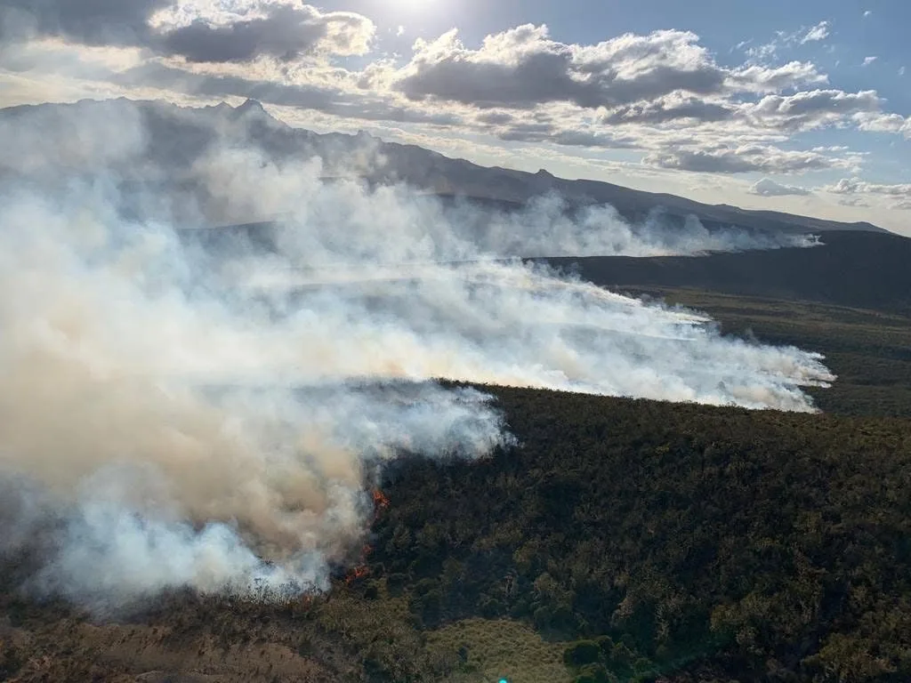 Aberdare Forest Fire Rages for Fourth Day, Hundreds of Acres Destroyed