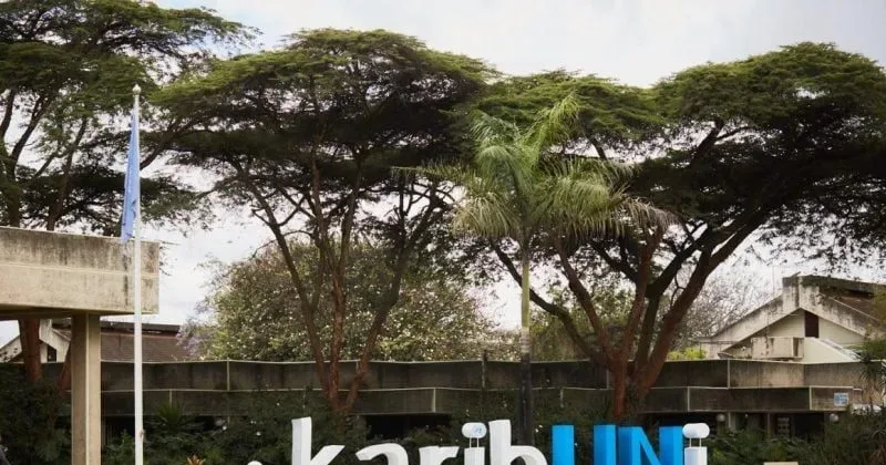 Artesano eyes diplomats with Sh593.4mn hotel in Gigiri
