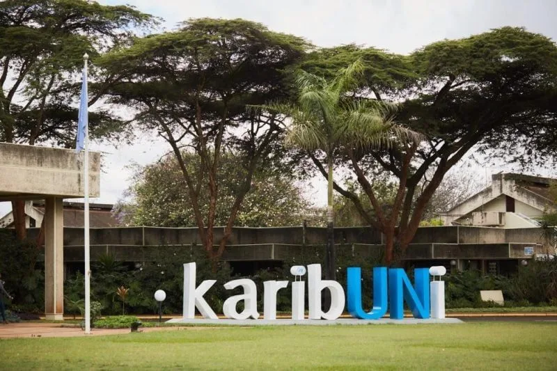 Artesano eyes diplomats with Sh593.4mn hotel in Gigiri