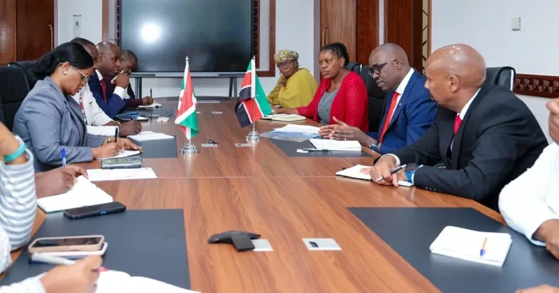 Kenya forms Joint Task Team with Burundi, UNHCR, IOM over Burundian regularisation