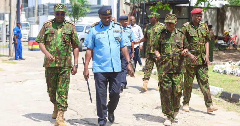 Court gives State 4 months to report on public protest management framework