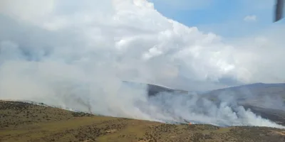 Mount Kenya wildfire destroys 8,700 hectares of vegetation