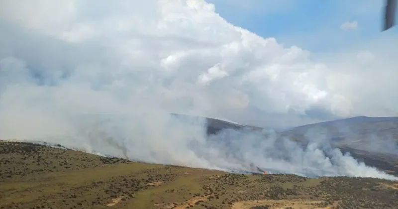 Mount Kenya wildfire destroys 8,700 hectares of vegetation