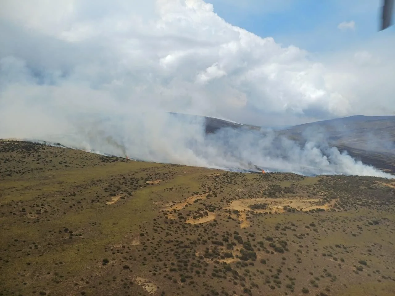 Mount Kenya wildfire destroys 8,700 hectares of vegetation