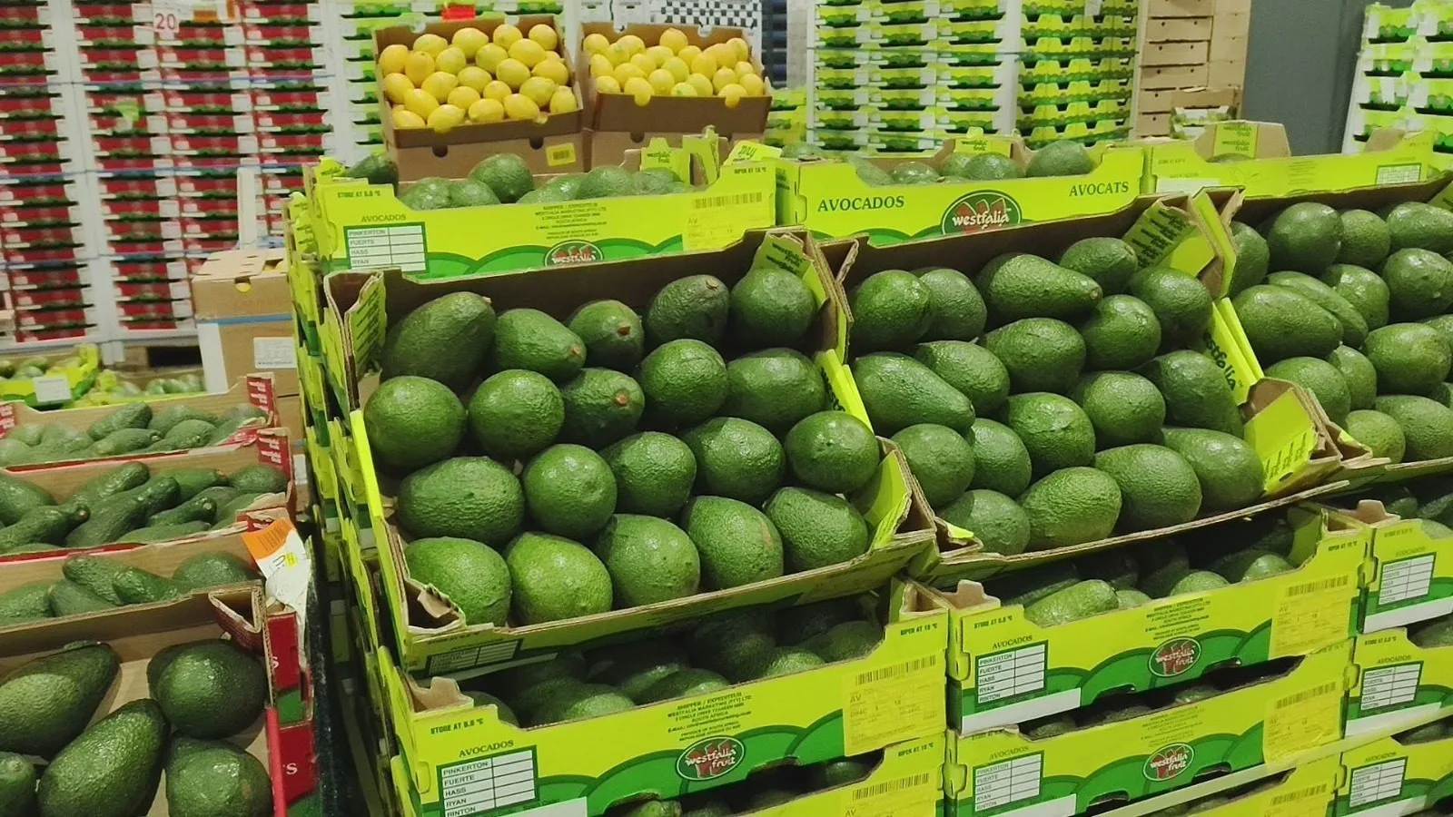East Africa targets costly horticulture trade bottlenecks at Nairobi Summit