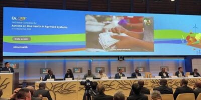 Africa seeks funding to eradicate livestock disease with $33 return on every dollar