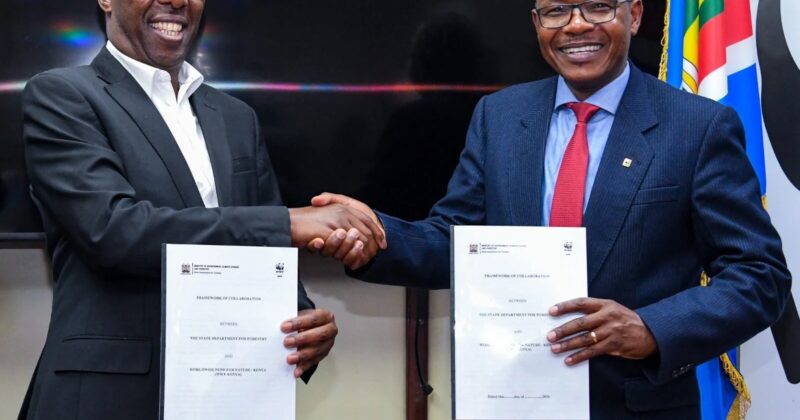 Mugambi pushes community-led approach to Kenya’s 15bn trees drive