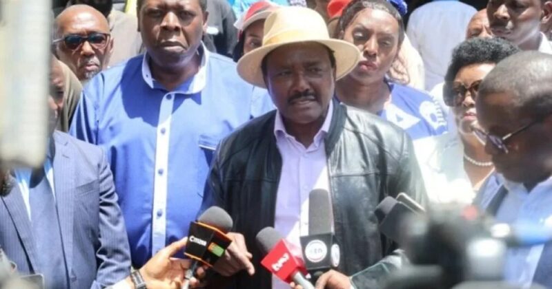 Kalonzo welcomes Dangote investment, recalls origins of Lamu vision