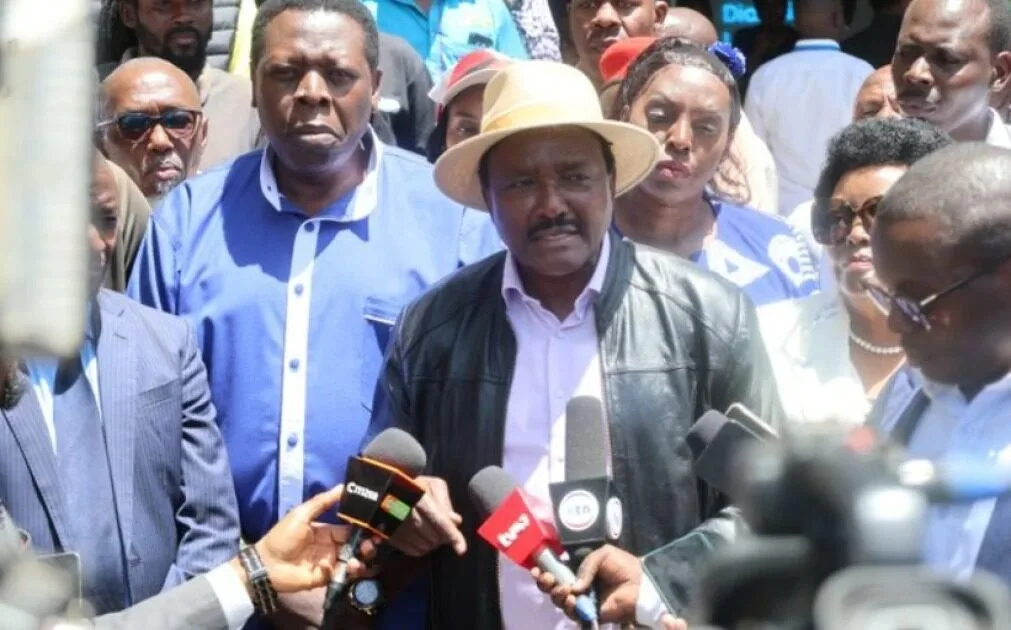 Kalonzo welcomes Dangote investment, recalls origins of Lamu vision