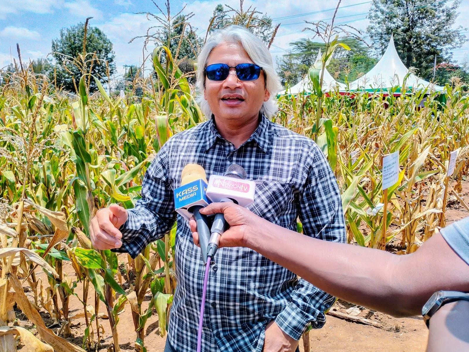 Maize Experts Urge Farmers to Plant Region-Specific Varieties Ahead of El Niño Rains
