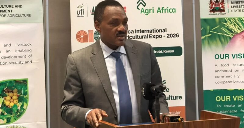 Expo seeks to link Kenyan farmers with global agricultural technology