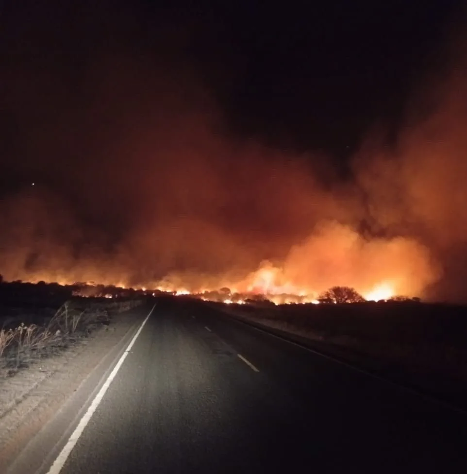 Bush fire reported along Voi-Taveta Road as teams move to contain spread