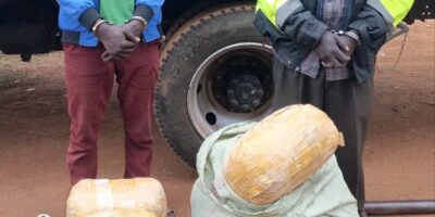 Four Arrested as DCI Seizes Cannabis Worth Sh1.7mn in Busia, Bungoma
