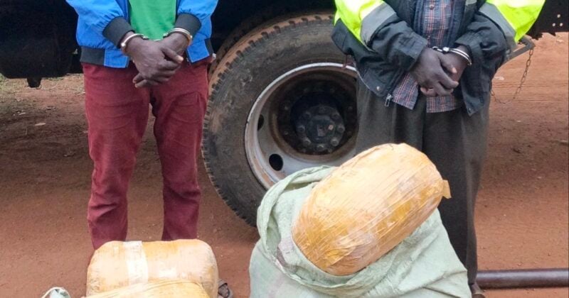 Four Arrested as DCI Seizes Cannabis Worth Sh1.7mn in Busia, Bungoma