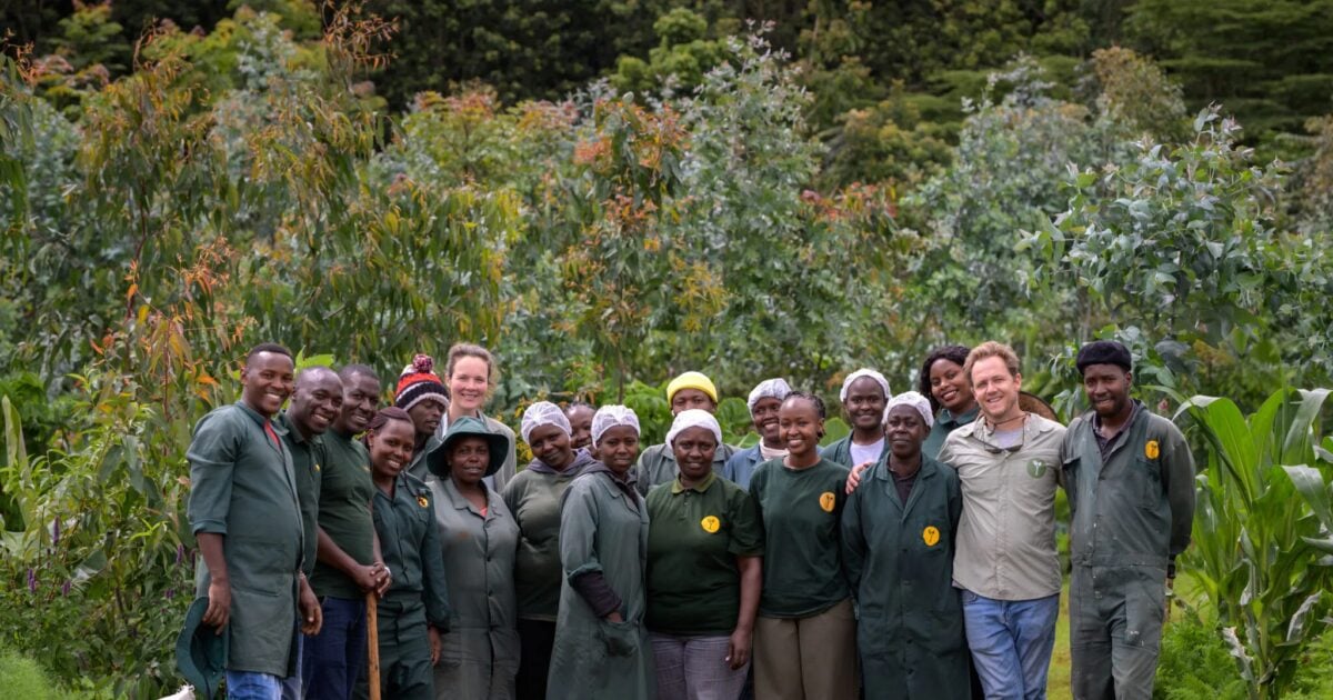 Two Kenyan firms selected for African accelerator targeting nature-based businesses