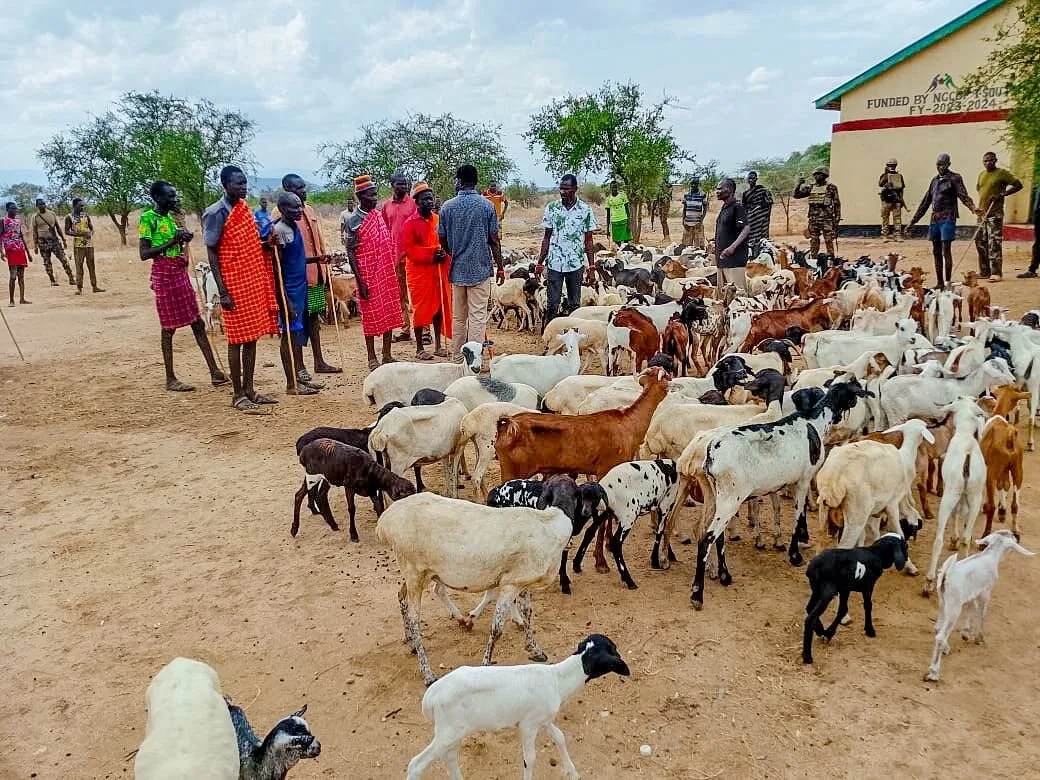 Multi-Agency Operation Recovers 445 Stolen Goats and Sheep in Turkana