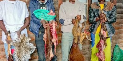 Four arrested with 38.6kg of suspected game meat in Laikipia