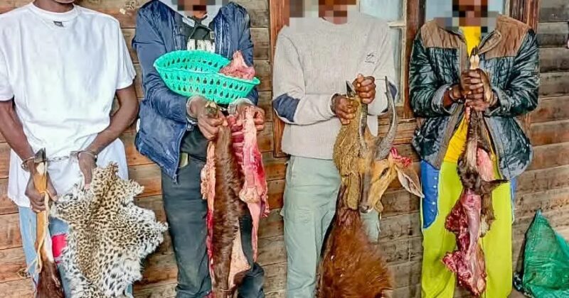 Four arrested with 38.6kg of suspected game meat in Laikipia