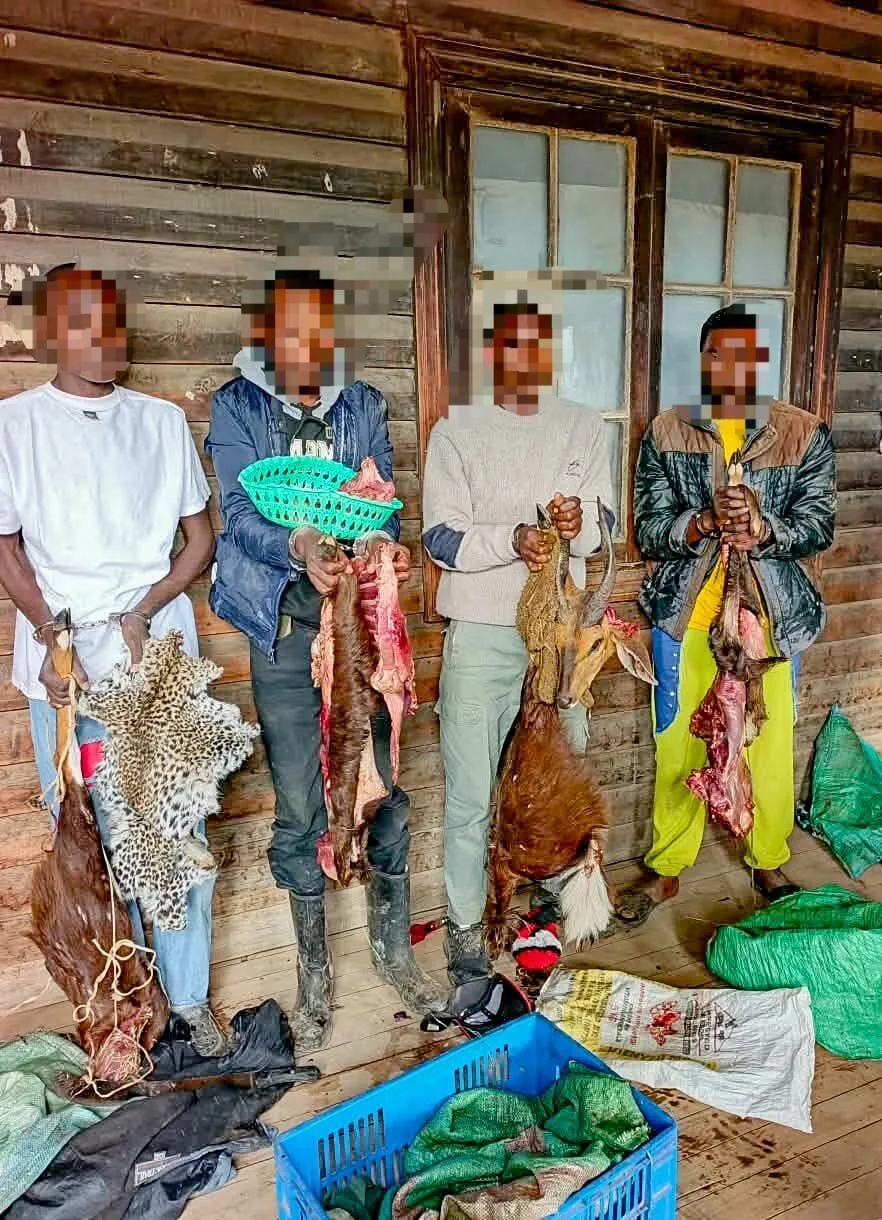 Four arrested with 38.6kg of suspected game meat in Laikipia