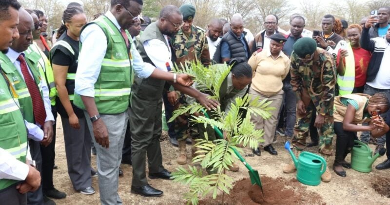 Kenya on course to hit 15 billion tree target: CS Barasa
