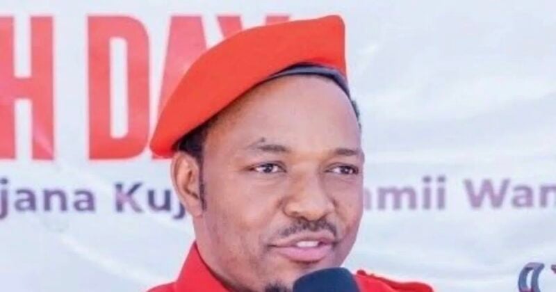 Tanzanian activist Twaha Mwaipaya reportedly abducted in Kenya
