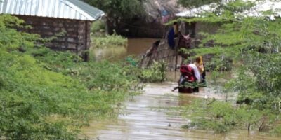Over 300 households displaced by floods in Tana River