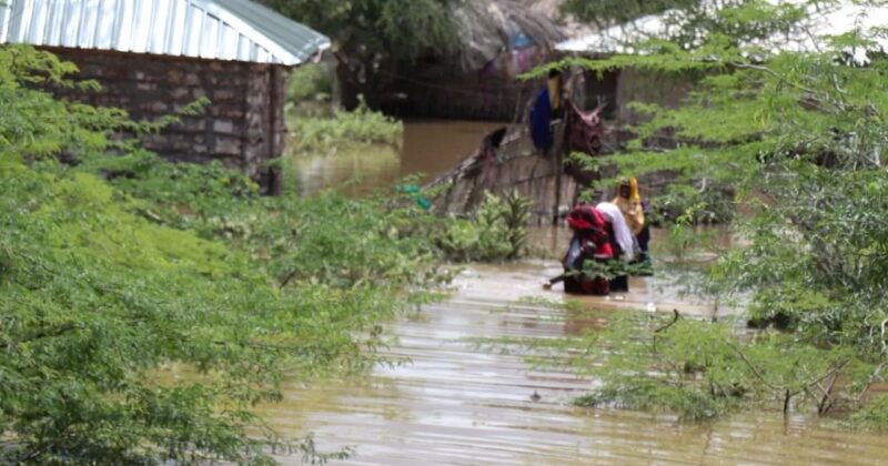 Over 300 households displaced by floods in Tana River