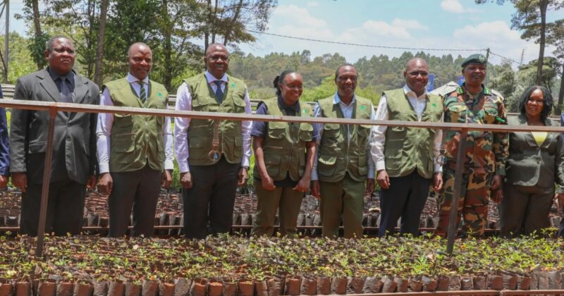 Mazingira Week 2026 opens with call for collective environmental action