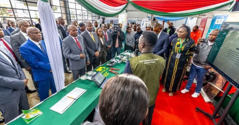 Govt rolls out system to track livestock countrywide, DP Kindiki says